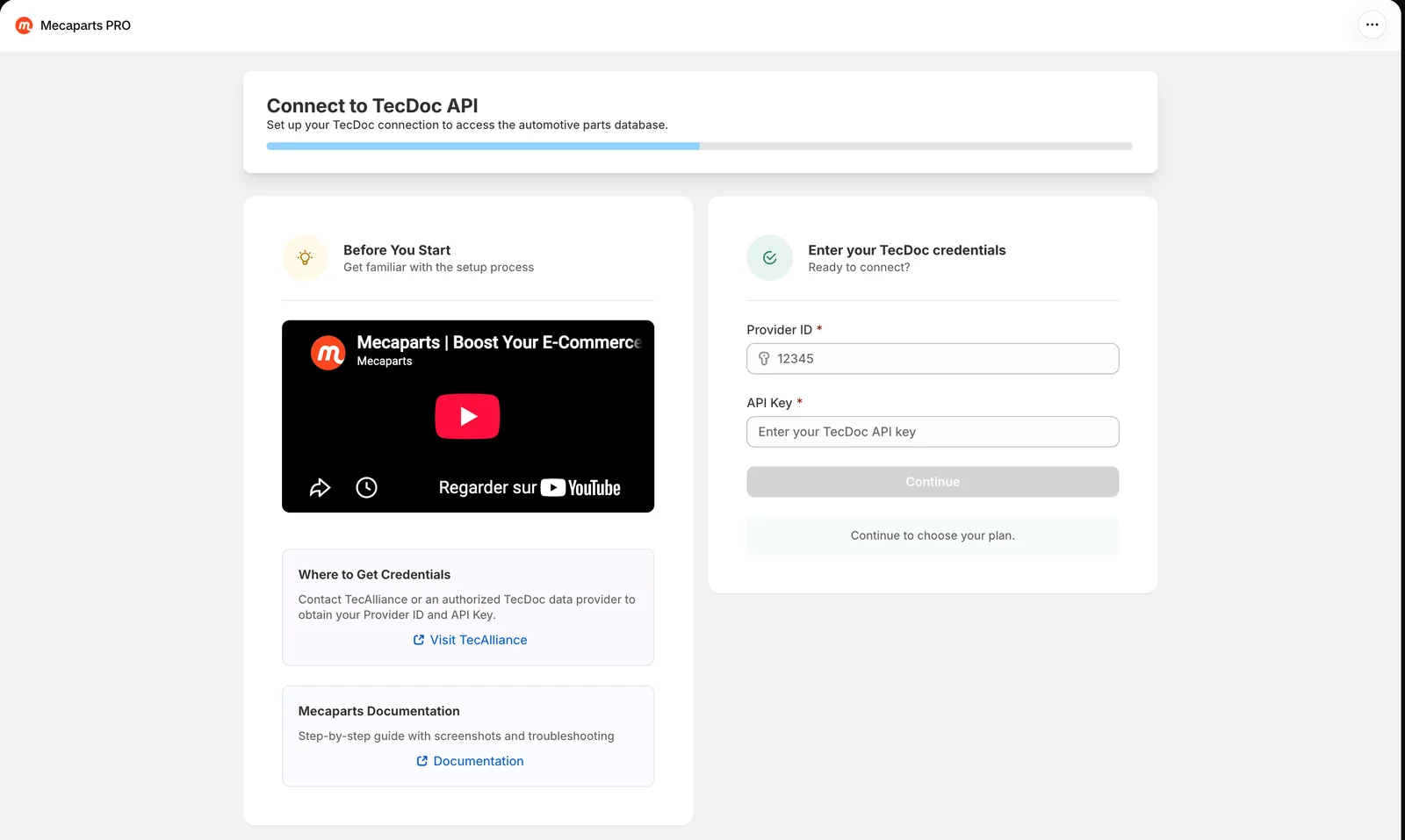 Skjermen Connect to TecDoc API med feltene Provider ID og API Key